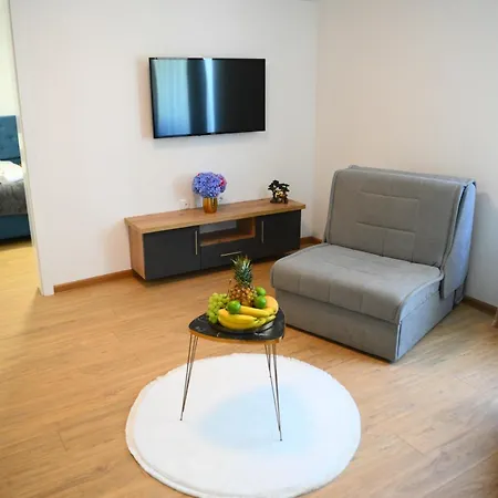 Apartment Mir Banja Vrucica