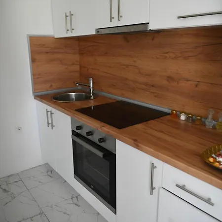 Apartment Mir Banja Vrucica